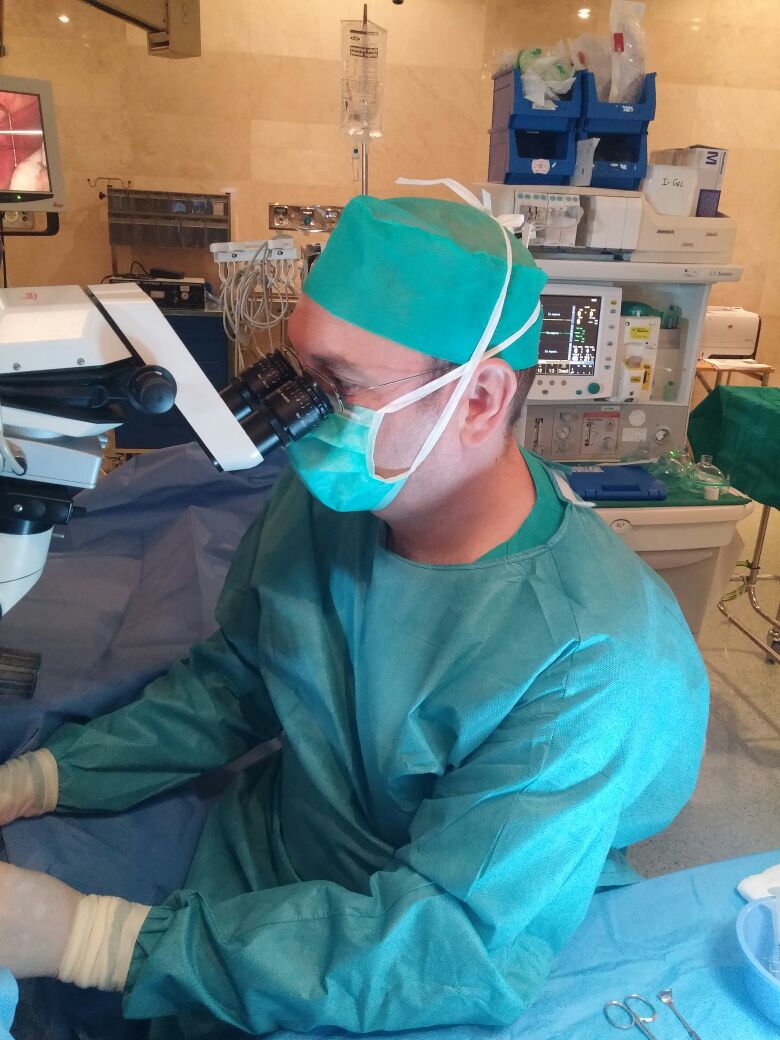Retina médica y quirúrgica. Dr. Saturnino Gismero Moreno.